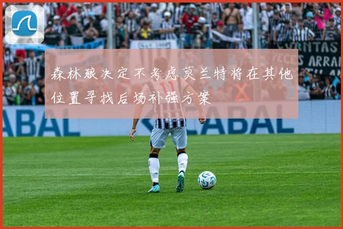 森林狼决定不考虑莫兰特将在其他位置寻找后场补强方案