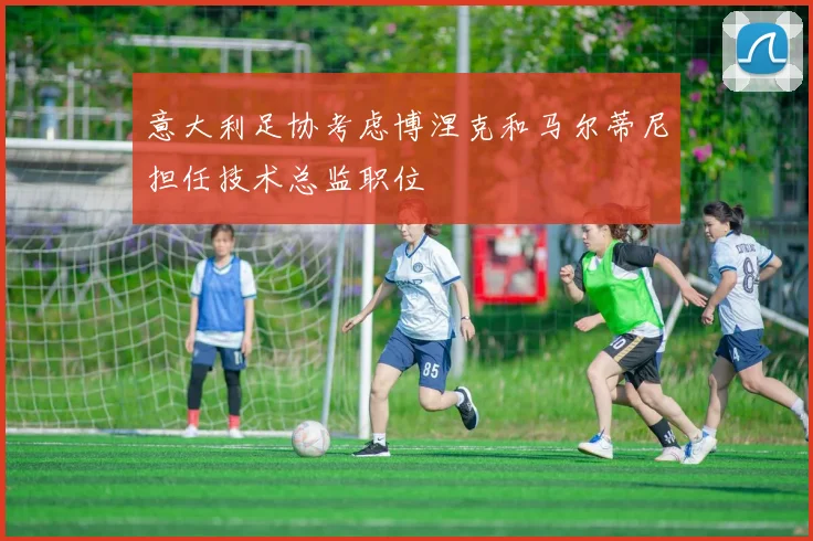意大利足协考虑博涅克和马尔蒂尼担任技术总监职位